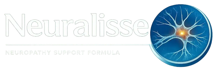 The Neuralisse wordmark in white on a dark background